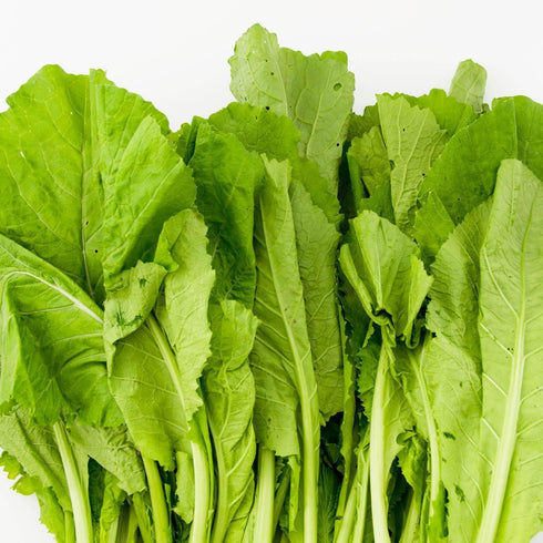 The Rike 3000 Seeds Mustard Leaf Ci B Xanh Green Mustard Lettuce Spinach Seeds Southern Giant Curled Mustard Greens