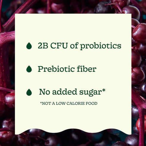 12 oz Suja Organic Gut Health Elderberry Ginger Cold Pressed Juice Drink, fl Bottle
