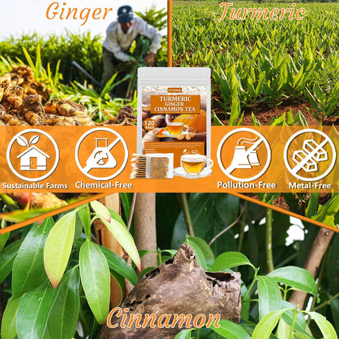 120 100% Premium Turmeric, Ginger, Cinnamon Blend Tea Bags, Natural & No Additives & Caffeine Free.