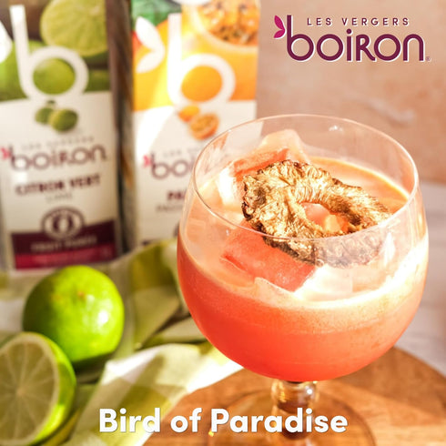 Les Vergers Boiron 1 (33.8 Oz) Passion Fruit Puree Drink Mix, All Natural, No Added Sugar, Non-GMO, No Preservatives
