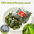 60 100% Premium Soursop Tea Bags, Made with Natural Graviola Leaves, Hoja Guanabana Tea, No Additives & Caffeine Free.