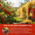 WOTIHA 60 Count 100% Immune Premium Goji Berry Tea Bags - Natural, Restore Passion & Digestion Support, & Antioxidant