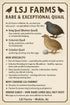 Generic 6+ 6 Fertile Quail Hatching Eggs Button Quail Hatching Eggs Mixed Varieties Farm Fresh & High Hatch Rate LSJ