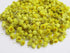 unbranded Immortelle 7 OZ, 200 Helichrysum Dried Flowers from Armenia grams Wild Harvest PREMIUM QUALITY