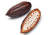 Tropical Importers (Set 2) Fresh Cacao Pod Fruit of Perfect for Chocolate Making, Smoothies, and Baking