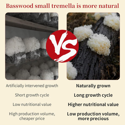 3.5oz(100g) Wanhua Hall Dried Snow Fungus Whole Tremella Mushroom Chinese White Fungus Premium White Woodear Mushroom