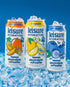 Pack Packed 16 oz (12-Cans) Leisure Hydration Non-Carbonated Electrolyte Refresher, Variety - Low Sugar Nutrient