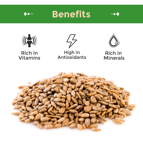 1(LB) Sincerely Nuts Sunflower Seeds Roasted and Salted, Hulled | No Shell, Gluten-Free Snack, Vegan, and Kosher