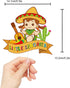 Little Senorita Birthday Cake Topper - Glitter Sombrero Mexican Fiesta Decoration for Girl Baby Shower & Gender Reveal