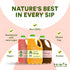 Countless Primor Fruit Purees | Made with Real Fruit | Applications: Juices, Smoothies, Cocktails, Desserts, and More