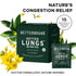 15 (Pack 2) Betterbrand Mullein Tea Bags for Lung Detox - Respiratory Support with Thyme, Elderberry, Ginseng, Ginger