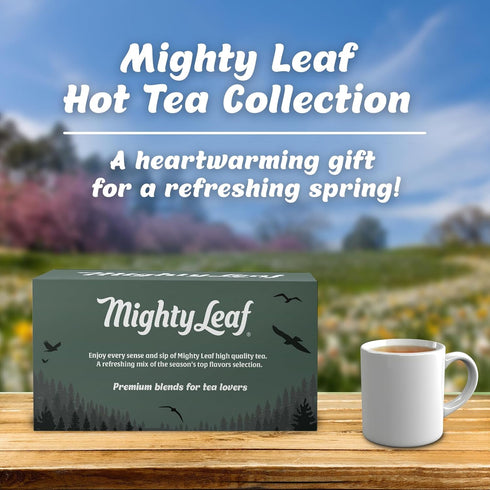 40 Count 8 Mighty Leaf Organic Tea Sampler Silken Tea Bags Assorted Flavors: Tropical Green, Chamomile Citrus, Earl