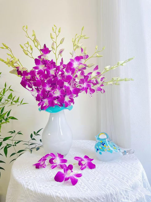 20 Stems purple orchids fresh cut flower gift birthday anniversary Valentine's Day flowers Dendrobium orchid