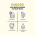 32 oz (Pack 1) R.W. Knudsen Ginger Juice Organic, fl