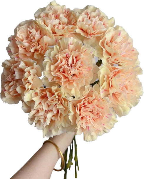 38 Next-day delivery Apple Tea Color Carnation Flowers DIY Hydroponic Flower Arrangement Mothers Day Gift Birthday