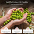 OILALA 2024/25 (500ml) Extra Virgin Olive oil Peranzana, Harvest! Low Acidity, Italian, Italy, Family Farm, Delicate
