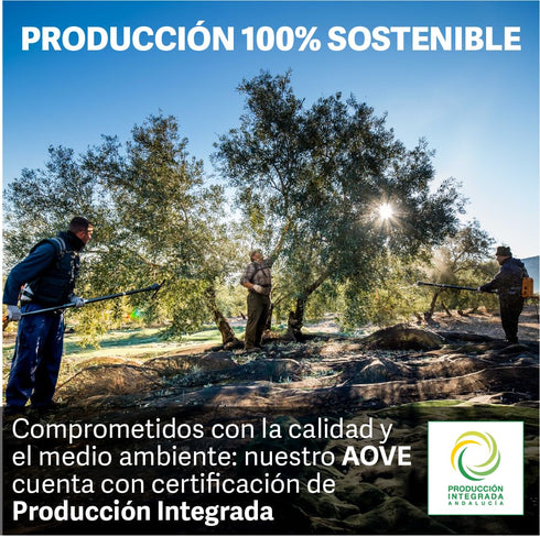 Oleoestepa 0.75 25.4 Hojiblanca Spanish Extra Virgin Olive Oil - Liter / Ounce