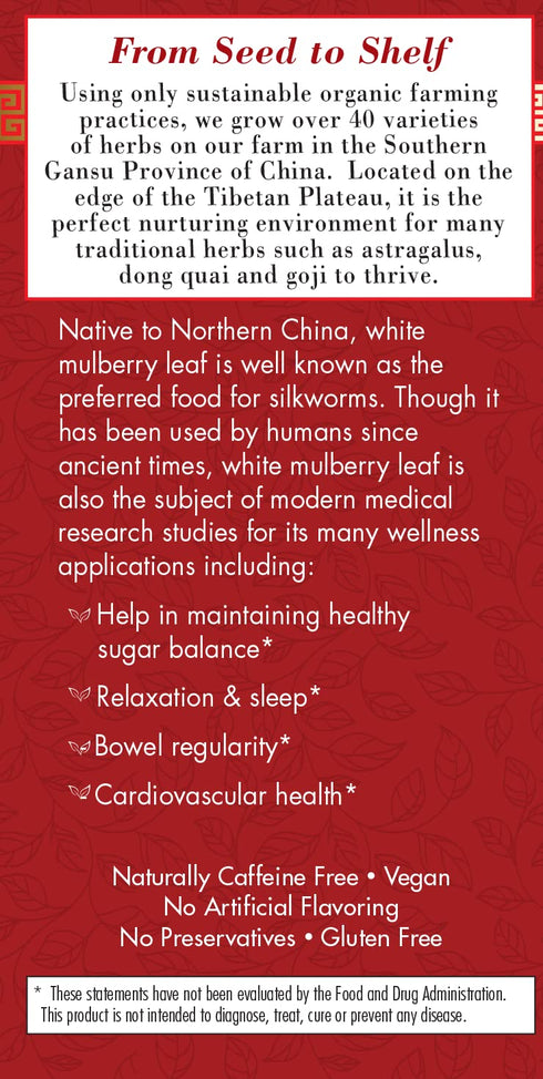 Bravo Tea Absolute White Mulberry Leaf Herbal Tea, Caffeine Free, 20 Tea Bags