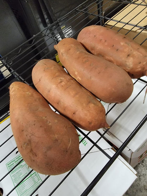 Farm Fresh NC Sweet Potatoes Appx 20lbs