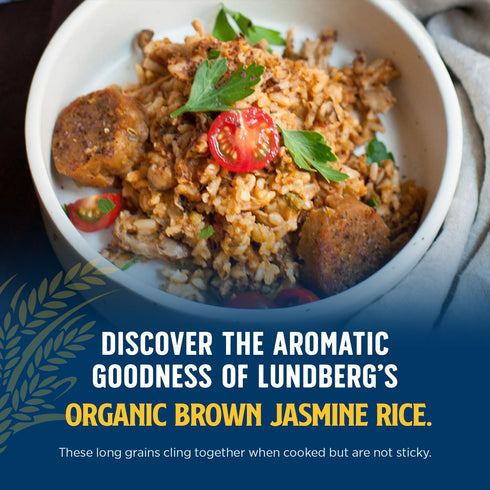 32 Oz Lundberg Organic Jasmine Rice, Long Grain Brown Rice - Non-Sticky, Fluffy Aromatic Rice, Organically Grown