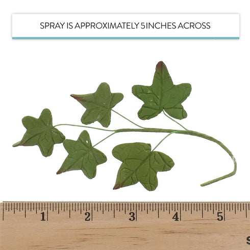 5 5 Global Sugar Art Ivy Leaf Sugar Cake Flowers Spray, Green with Red Tips, Sprays of leaves by Chef Alan Tetreault
