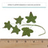 5 5 Global Sugar Art Ivy Leaf Sugar Cake Flowers Spray, Green with Red Tips, Sprays of leaves by Chef Alan Tetreault
