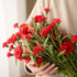 HXSCOO Carnation Simulation Bouquet Vase Flower Arrangement Plastic Flower Decoration Flower Dining Room Living Room