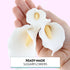 Wired,3 6 Count Global Sugar Art Calla Lily Sugar Cake Flowers White with Yellow, sizes, by Chef Alan Tetreault
