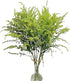 20 Vibrant Solidago Carzan Glory Bouquets for Home Decor & Special Occasions
