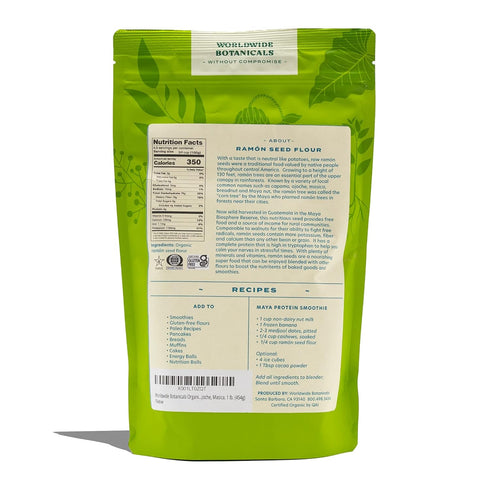 1 Worldwide Botanicals Organic Ramn Seed Flour AKA Capomo, Ojoche, Maya Nut, Bread Nut, Mojo, Masica - Gluten-Free