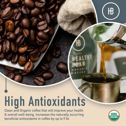11oz Healthy Bean Coffee Thrive Morning Blend - Whole Bean Low Acid Coffee for Sensitive Stomach, Smooth and Rich