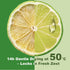 16 oz 1 lb 454g Dehydrated Lime Slices / / Bulk - Cocktail Garnish, Baking, Cooking, Tea, Crafts | All-Natural Dried