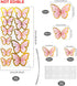 66 Pcs Butterfly Cupcake Toppers, Pink Gold Cake Topper Picks for Birthday Party Decor, Wedding, Baby Shower