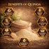 1.5 lb (24 oz) Premium Quinoa Whole Grain Quinoa, Superfood, High Protein & Fiber, Vegan Plant-Based Grain for Cooking