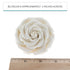 3 Inches, 3 Count Global Sugar Art Rebecca Rose Sugar Cake Flowers, White by Chef Alan Tetreault