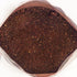 300g (10.58oz) Siberian Aronia Black Chokeberry Dried Berries Powder Tea Wild Harvested Melanocarpa from Altai with Sea