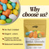 1 LB Snackathon Jordan Almonds, Assorted Pastel Candy-Coated Almonds, Resealable Bag, Made in USA, Bulk Italian