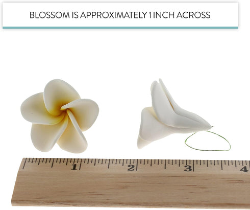 20 Count Global Sugar Art Tropical Frangipani Plumeria Sugar Cake Flowers, White by Chef Alan Tetreault