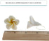 20 Count Global Sugar Art Tropical Frangipani Plumeria Sugar Cake Flowers, White by Chef Alan Tetreault