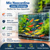 Generic 10+ 1/2-1 Inch Mixed Color Neocaridina Shrimp Live Freshwater Aquarium Shrimp for Breeding Young Adults Fire