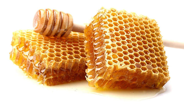 Basil Grocery Stockins Pure Honey Comb 16 oz Amish