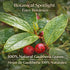(4 oz) 100% Axocopaque Herbal Tea - Natural Gaultheria Mexican Leaves - Authentic Traditional Loose Leaf Tea from