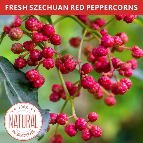 Yimi Sichuan Szechuan Peppercorns, Grade AAA Whole Red Peppercorn, Strong Flavor for Mapo Tofu, 2.1 oz