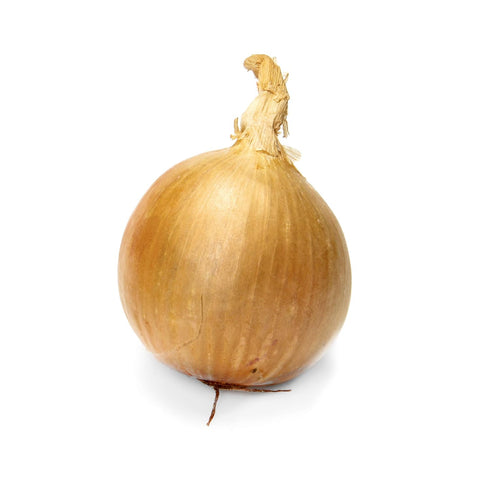 Fresh Produce Organic Yellow Onion