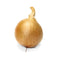 Fresh Produce Organic Yellow Onion