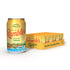 AUTX RAMBLER Sparkling Water, Texas Limestone Mineral Blend, Satsuma Flavor, 12-Ounce Cans,
