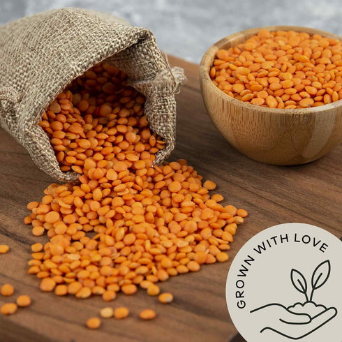 (4.8lb) Organic Red Lentils Dry by Be Still Farms - Lentils Bulk aka Masoor Dal - Ideal for Soup, Pasta, Pilof - High