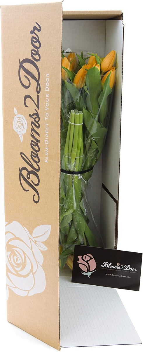 Blooms2Door 20 - Orange Tulips (Farm-Fresh Flowers, Cut-to-Order) - Fresh Flowers for Birthday, Valentine's & Mother's