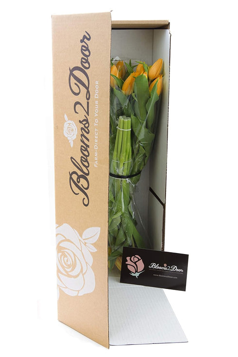 Blooms2Door 30 - Orange Tulips (Farm-Fresh Flowers and Homegrown in the USA) - Fresh Flowers for Birthday, Valentine's