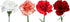 50 Pack FlowerPrime Christmas Carnations - Fresh Natural Cut Flowers Special Holiday Variety